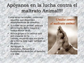 Maltrato animal