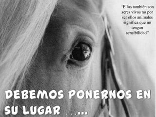 “Ellos también son
seres vivos no por
 ser ellos animales
  significa que no
       tengan
    sensibilidad”
 