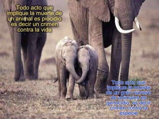 Todo acto que
implique la muerte de
un animal es piocidio
  es decir un crimen
    contra la vida




                          Todo acto que
                        implique la muerte
                        de un gran número
                          de animales es
                        genocidio es decir
                         crimen contra la
                              especie
 