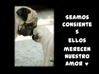 Seamos
consiente
    s
  ellos
merecen
 nuestro
 amor
 