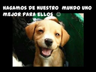 hagamos de nuestro mundo uno
mejor para ellos 
 