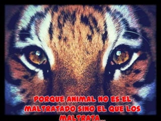 porque animal no es el
maltratado sino el que los
       maltrata...
 