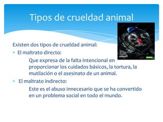 Tipos de crueldad animal

Existen dos tipos de crueldad animal:
  El maltrato directo:
       Que expresa de la falta intencional en
       proporcionar los cuidados básicos, la tortura, la
       mutilación o el asesinato de un animal.
  El maltrato indirecto:
       Este es el abuso innecesario que se ha convertido
       en un problema social en todo el mundo.
 
