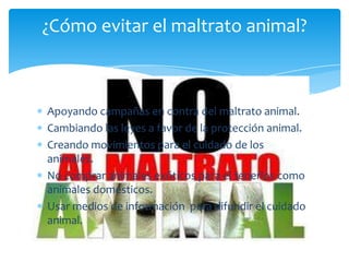 ¿Cómo evitar el maltrato animal?



Apoyando campañas en contra del maltrato animal.
Cambiando las leyes a favor de la protección animal.
Creando movimientos para el cuidado de los
animales.
No comprar animales exóticos para el tenerlos como
animales domésticos.
Usar medios de información para difundir el cuidado
animal.
 