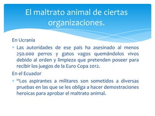 El maltrato animal de ciertas
           organizaciones.
En Ucrania
  Las autoridades de ese país ha asesinado al menos
  250.000 perros y gatos vagos quemándolos vivos
  debido al orden y limpieza que pretenden poseer para
  recibir los juegos de la Euro Copa 2012.
En el Ecuador
  “Los aspirantes a militares son sometidos a diversas
  pruebas en las que se les obliga a hacer demostraciones
  heroicas para aprobar el maltrato animal.
 
