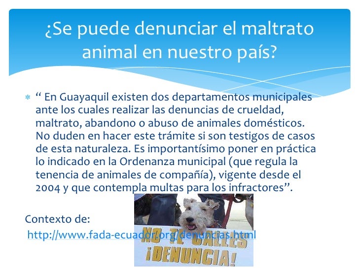 Maltrato animal