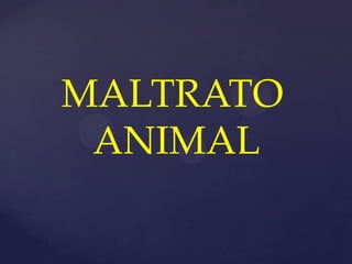 MALTRATO
ANIMAL
 
