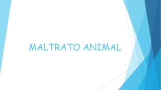 MALTRATO ANIMAL
 