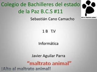 Colegio de Bachilleres del estado
de la Paz B.C.S #11
Sebastián Cano Camacho
1 B T.V

Informática
Javier Aguilar Parra

 
