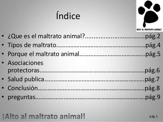 50 Preguntas Sobre El Maltrato Animal