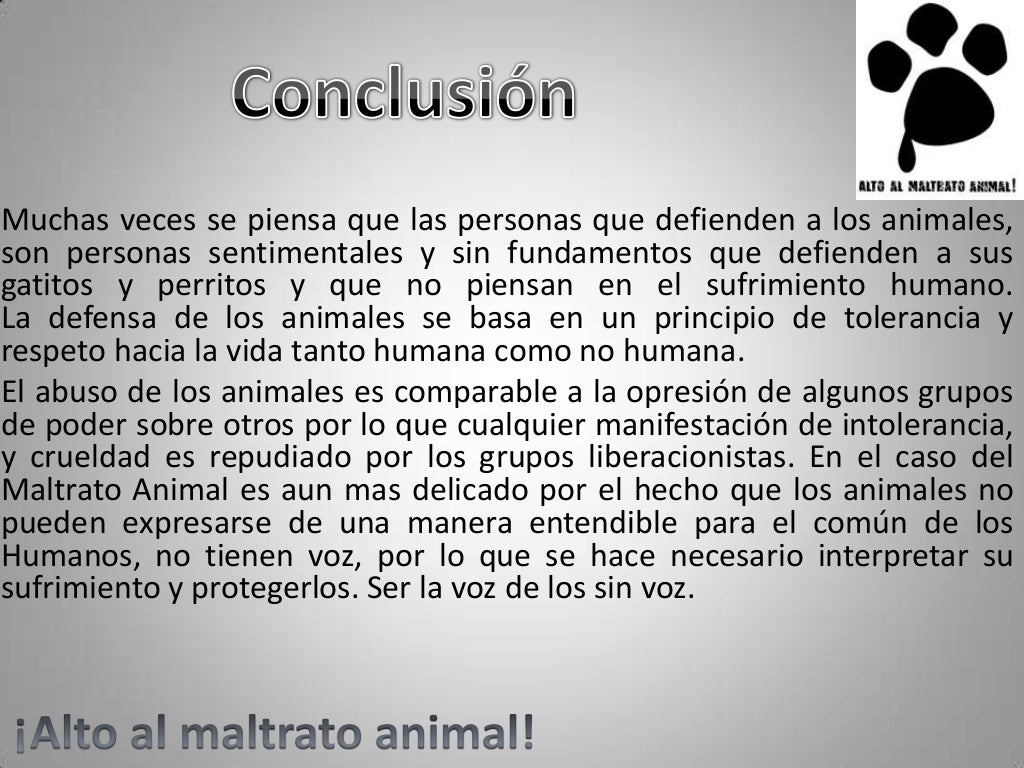 Maltrato animal