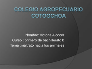 Nombre: victoria Alcocer
Curso : primero de bachillerato b
Tema :maltrato hacia los animales

 