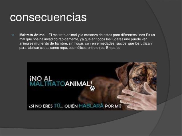 Maltrato animal