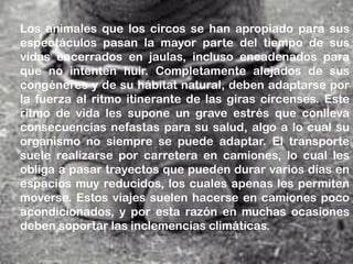 Los animales que los circos se han apropiado para sus
espectáculos pasan la mayor parte del tiempo de sus
vidas encerrados en jaulas, incluso encadenados para
que no intenten huir. Completamente alejados de sus
congéneres y de su hábitat natural, deben adaptarse por
la fuerza al ritmo itinerante de las giras círcenses. Este
ritmo de vida les supone un grave estrés que conlleva
consecuencias nefastas para su salud, algo a lo cual su
organismo no siempre se puede adaptar. El transporte
suele realizarse por carretera en camiones, lo cual les
obliga a pasar trayectos que pueden durar varios días en
espacios muy reducidos, los cuales apenas les permiten
moverse. Estos viajes suelen hacerse en camiones poco
acondicionados, y por esta razón en muchas ocasiones
deben soportar las inclemencias climáticas.
 