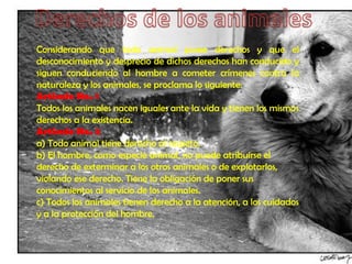 Considerando que todo animal posee derechos y que el
desconocimiento y desprecio de dichos derechos han conducido y
siguen conduciendo al hombre a cometer crímenes contra la
naturaleza y los animales, se proclama lo siguiente:
Artículo No. 1
Todos los animales nacen iguales ante la vida y tienen los mismos
derechos a la existencia.
Artículo No. 2
a) Todo animal tiene derecho al respeto.
b) El hombre, como especie animal, no puede atribuirse el
derecho de exterminar a los otros animales o de explotarlos,
violando ese derecho. Tiene la obligación de poner sus
conocimientos al servicio de los animales.
c) Todos los animales tienen derecho a la atención, a los cuidados
y a la protección del hombre.
 