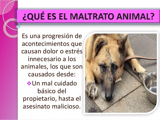 Que Es El Maltrato Animal Resumen es.slideshare.net