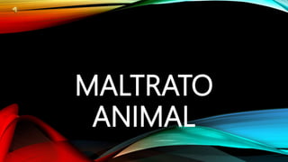 MALTRATO 
ANIMAL 
 