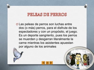 O Las peleas de perros son luchas entre
dos (o más) perros, para el disfrute de los
espectadores y con un propósito, el juego.
Es un deporte sangriento, pues los perros
se muerden y desgarran literalmente la
carne mientras los asistentes apuestan
por alguno de los animales
 