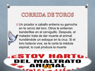 O Un picador a caballo entierra su garrocha
en la cerviz del toro. Otros le entierran
banderillas en el cerviguillo. Después, el
matador trata de dar muerte al animal
hundiéndole un estoque en la cruz. Si el
toro todavía vive, se le corta la médula
espinal, lo cual produce la muerte
 