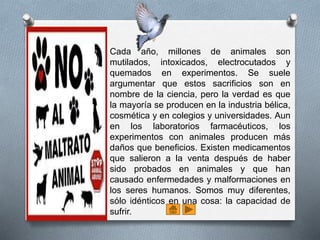 O Cada año, millones de animales son
mutilados, intoxicados, electrocutados y
quemados en experimentos. Se suele
argumentar que estos sacrificios son en
nombre de la ciencia, pero la verdad es que
la mayoría se producen en la industria bélica,
cosmética y en colegios y universidades. Aun
en los laboratorios farmacéuticos, los
experimentos con animales producen más
daños que beneficios. Existen medicamentos
que salieron a la venta después de haber
sido probados en animales y que han
causado enfermedades y malformaciones en
los seres humanos. Somos muy diferentes,
sólo idénticos en una cosa: la capacidad de
sufrir.
 