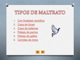 1. Con finalidad científica
2. Caza de focas
3. Caza de ballenas
4. Peleas de perros
5. Peleas de gallos
6. Corridas de toros
 