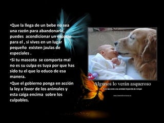 •Que la llega de un bebe no sea
una razón para abandonarlo,
puedes acondicionar un espacio
para el , si vives en un lugar
pequeño existen jaulas de
especiales .
•Si tu mascota se comporta mal
no es su culpa es tuya por que has
sido tu el que lo educo de esa
manera.
•Que el gobierno ponga en acción
la ley a favor de los animales y
esta caiga encima sobre los
culpables.
 