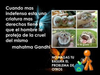 Cuando mas
indefensa esta una
criatura mas
derechos tiene a
que el hombre le
proteja de la cruel
del mismo
mahatma Gandhi
NO HAGAS TU
BASURA EL
PROBLEMA DE
OTROS
 