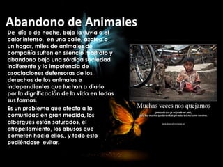 Abandono de Animales
De día o de noche, bajo la lluvia o el
calor intenso, en una calle, azotea o
un hogar, miles de animales de
compañía sufren en silencio maltrato y
abandono bajo una sórdida sociedad
indiferente y la impotencia de
asociaciones defensoras de los
derechos de los animales e
independientes que luchan a diario
por la dignificación de la vida en todas
sus formas.
Es un problema que afecta a la
comunidad en gran medida, los
albergues están saturados, el
atropellamiento, los abusos que
cometen hacia ellos,, y todo esto
pudiéndose evitar.
 