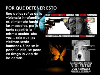 POR QUE DETENER ESTO
Una de las señas de la
violencia intrafamiliar
es el maltrato hacia
las mascotas, por lo
tanto repetirá la
misma acción otra
vez… solo que las
victimas serán
humanas. Sí no se le
pone un alto, se pone
en riesgo la vida de
los demás.
 