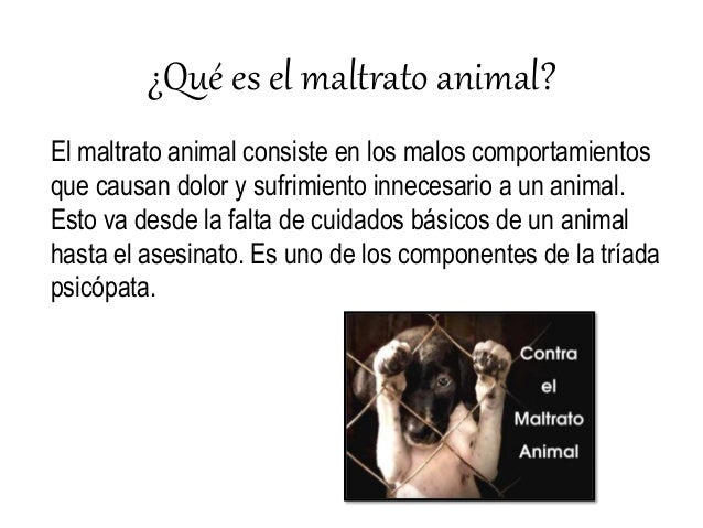 Que Es El Maltrato Animal Resumen