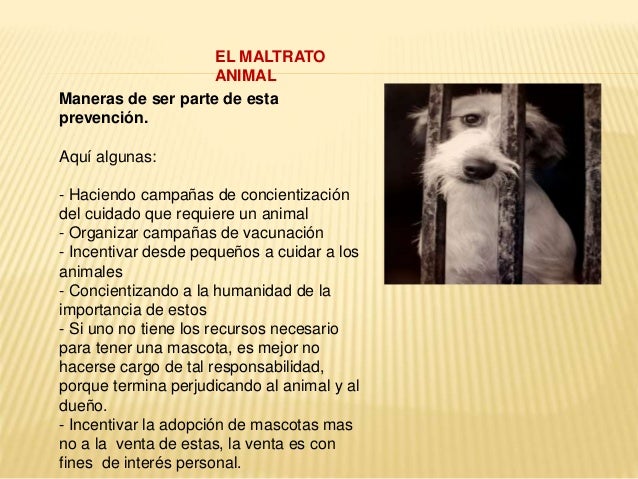 Que Es El Maltrato Animal Resumen es.slideshare.net