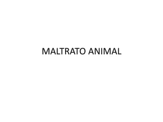 MALTRATO ANIMAL
 