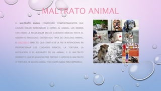 MALTRATO ANIMAL
EL MALTRATO ANIMAL COMPRENDE COMPORTAMIENTOS QUE
CAUSAN DOLOR INNECESARIO O ESTRÉS AL ANIMAL. LOS MISMOS
VAN DESDE LA NEGLIGENCIA EN LOS CUIDADOS BÁSICOS HASTA EL
ASESINATO MALICIOSO. EXISTEN DOS TIPOS DE CRUELDAD ANIMAL,
EL MALTRATO DIRECTO, QUE CONSTA DE LA FALTA INTENCIONAL EN
PROPORCIONAR LOS CUIDADOS BÁSICOS, LA TORTURA, LA
MUTILACIÓN O EL ASESINATO DE UN ANIMAL, Y EL MALTRATO
INDIRECTO, QUE ES CUANDO ERES TESTIGO O APOYAS EL MALTRATO
O TORTURA DE ALGÚN ANIMAL Y NO HACES NADA PARA IMPEDIRLO.
 