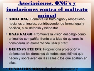 Asociaciones, ONG's y
fundaciones contra el maltrato
animal●
ADDA ONG: Fomenta un trato digno y respetuoso
hacia los anima...