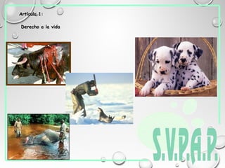 Artículo 1:
Derecho a la vida
 