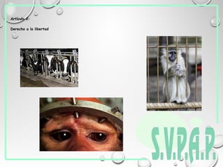 Artículo 2:
Derecho a la libertad
 