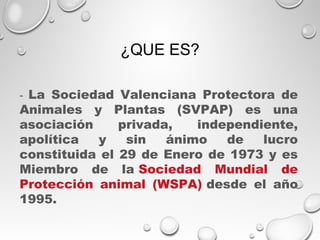 ¿QUE ES?
- La Sociedad Valenciana Protectora de
Animales y Plantas (SVPAP) es una
asociación privada, independiente,
apolítica y sin ánimo de lucro
constituida el 29 de Enero de 1973 y es
Miembro de la Sociedad Mundial de
Protección animal (WSPA) desde el año
1995.
 