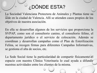 ¿DÓNDE ESTA?
La Sociedad Valenciana Protectora de Animales y Plantas tiene su
sede en la ciudad de Valencia. Allí se atienden casos propios de los
objetivos de nuestra asociación.
En ella se desarrollan algunos de los servicios que proporciona la
SVPAP, como son el consultorio canino, el consultorio felino, el
departamento jurídico o el servicio de colocación. Además se
coordinan y desarrollan campañas como el Plan de Esterilización
Felina, se recogen firmas para diferentes Campañas Informativas,
se gestiona el alta de socios, etc.
La Sede Social tiene la particularidad de compartir físicamente el
espacio con nuestra Clínica Veterinaria lo cual ayuda a difundir
nuestras actividades entre los clientes de la misma.
 