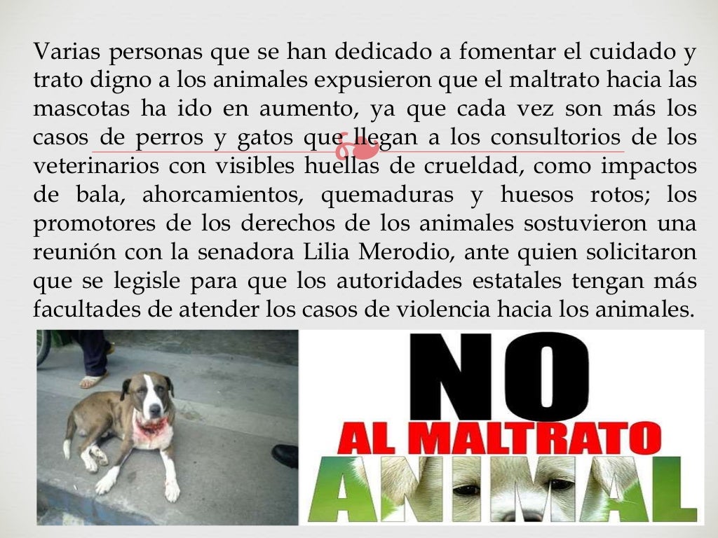 Maltrato animal