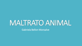MALTRATO ANIMAL
Gabriela Bellon Monsalve
 