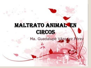 MALTRATO ANIMAL EN
      CIRCOS
    Ma. Guadalupe Vázquez Pérez
 