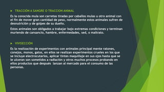  TRACCIÓN A SANGRE O TRACCION ANIMAL
Es la conocida mula son carretas tiradas por caballos mulas u otro animal con
el fin de mover gran cantidad de peso, normalmente estos animales sufren de
desnutrición y de golpes de su dueño.
Estos animales son obligados a trabajar bajo extremas condiciones y terminan
muriendo de cansancio, hambre, enfermedades, sed, o maltrato.
 VIVISECCIÓN
Es la realización de experimentos con animales principal mente ratones,
conejos, monos, gatos, en ellos se realizan experimentos crueles en los que
se incluye electrocutarlos, aplicar tintes maquillaje en sus ojos hasta que se
le ulceran son sometidos a radiación y otros muchos procesos probando en
ellos productos que después lanzan al mercado para el consumo de las
personas.
 