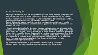  TAUROMAQUIA
Este tipo de maltrato está hecho para el disfrute de todos aquellos que pagan una
entrada para ver morir a uno o varios toros de una manera cruel por un torero.
Muchos piensan que la tauromaquia es una demostración de valentía, de hombría,
también lo llamarían muchos, pero eso no demuestra nada.
Primordialmente, es una tradición que trae consigo mucho maltrato, y mucha
tortura. Es el sufrimiento de un ser sintiente, que siente dolor como todo ser con
sistema nervioso.
En este acto el animal sufre de varios tipos de maltrato como por ejemplo: se le
cuelgan sacos de arena al cuello para cansarlo antes de iniciar, Lo golpearon en los
testículos y los riñones. Le inducen diarrea al poner sulfatos en el agua que bebió.
Todo esto es con el fin de que llegue débil al ruedo y en completo desorden. Se le
ha untado grasa en los ojos para dificultar su visión y en las patas se le puso una
sustancia que le produce ardor y le impide mantenerse quieto, así el torero se
luce. Pero aquí apenas empieza la tortura de este animal que es criado
específicamente para el maltrato.
En estas corridas también se maltratan los caballos que se usan para
algunas partes del espectáculo y ponen a matarse a los dos animales
 