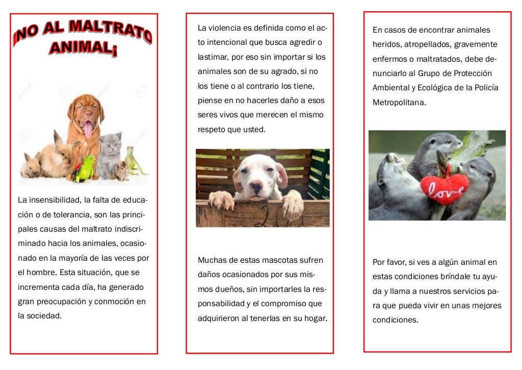 Maltrato animal folleto