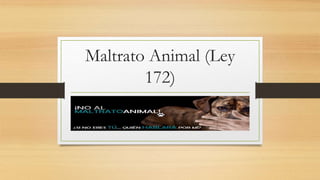 Maltrato Animal (Ley
172)
 