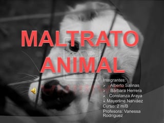 MALTRATO ANIMAL Integrantes:  ,[object Object]