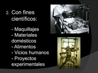 Concepto de MaltratoEs el tratamiento que causa sufrimiento o daño a animales. La definición de sufrimiento inaceptable varía. Algunos consideran sólo el sufrimiento por simple crueldad a los animales, mientras que otros incluyen el sufrimiento infligido por otras razones, como la producción de carne, la obtención de piel, los experimentos científicos con animales, los espectáculos con animales y las industrias del huevo y de la leche.