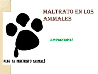 MALTRATO EN LOS ANIMALES  ¡IMPACTANTE! 