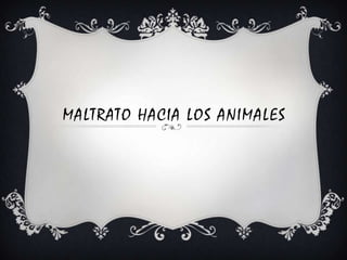 MALTRATO HACIA LOS ANIMALES
 