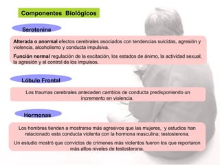 Componentes  Biológicos   Serotonina Lóbulo Frontal   Hormonas  Alterada o anormal  efectos cerebrales asociados con tendencias suicidas, agresión y violencia, alcoholismo y conducta impulsiva.   Función normal  regulación de la excitación, los estados de ánimo, la actividad sexual, la agresión y el control de los impulsos.  Los traumas cerebrales anteceden cambios de conducta predisponiendo un incremento en violencia.  Los hombres tienden a mostrarse más agresivos que las mujeres,  y estudios han relacionado esta conducta violenta con la hormona masculina; testosterona. Un estudio mostró que convictos de crímenes más violentos fueron los que reportaron más altos niveles de testosterona. 